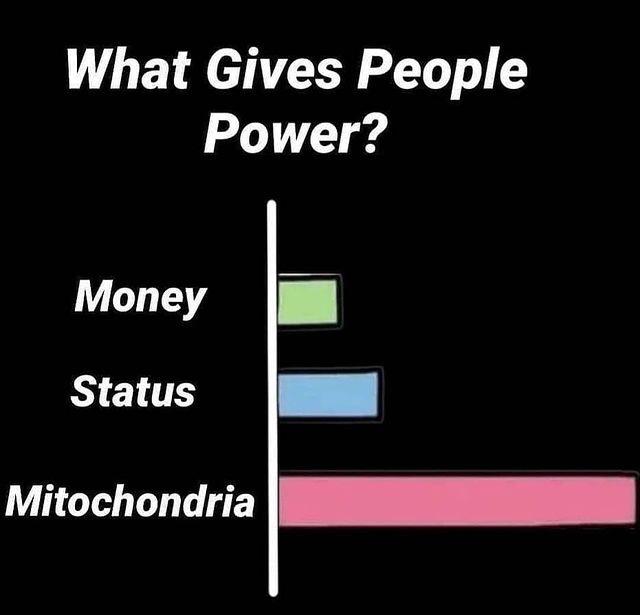 angle - What Gives People Power? Money Status Mitochondria