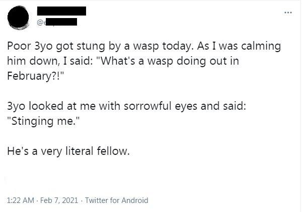 document - Poor 3yo got stung by a wasp today. As I was calming him down, I said What's a wasp doing out in February?! 3yo looked at me with sorrowful eyes and said Stinging me. He's a very literal fellow. . . Twitter for Android