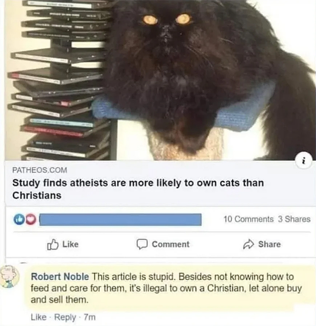 study finds atheists are more likely to own cats than christians - Patheos.Com Study finds atheists are more ly to own cats than Christians 10 3 Comment Robert Noble This article is stupid. Besides not knowing how to feed and care for them, it's illegal t