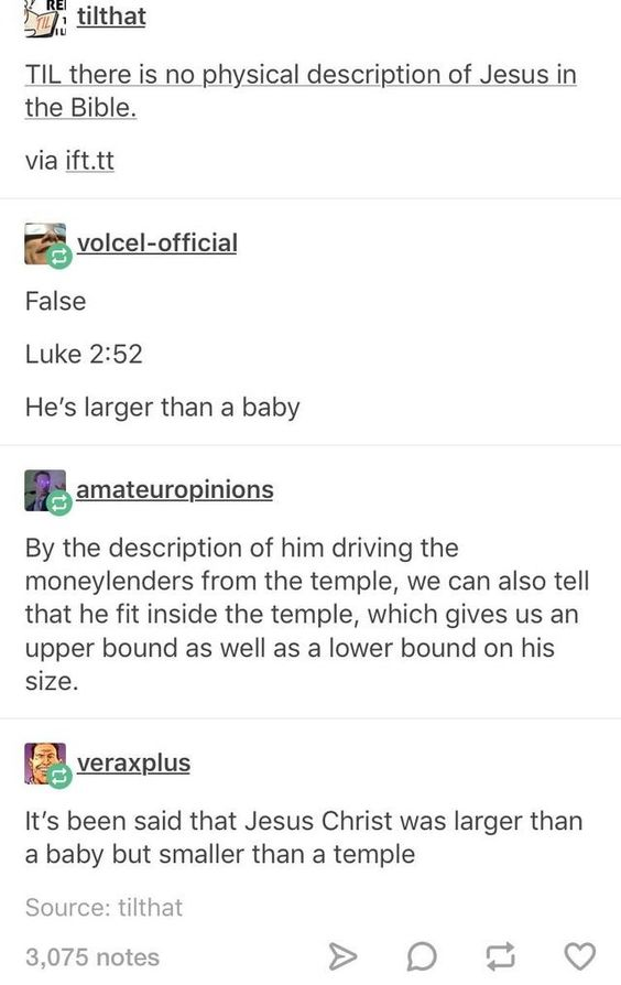 technically true posts - tilthat Til there is no physical description of Jesus in the Bible. via ift.tt volcelofficial False Luke He's larger than a baby amateuropinions By the description of him driving the moneylenders from the temple, we can also tell 