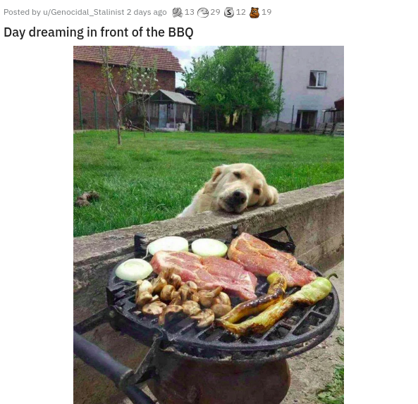 dog looks at bbq - Posted by uGenocidal_Stalinist 2 days ago 1329 312 319 Day dreaming in front of the Bbq