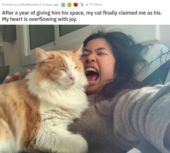 photo caption - Posted by uMadPanda 11 4 days ago & 77 More After a year of giving him his space, my cat finally claimed me as his. My heart is overflowing with joy.