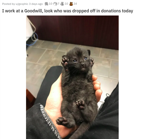 photo caption - 24 Posted by ugxvphic 3 days ago 10 7 3 10 I work at a Goodwill, look who was dropped off in donations today Deed