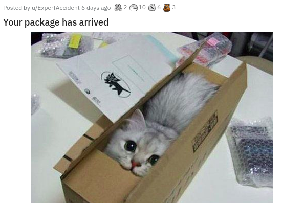 cat parcel - Posted by uExpertAccident 6 days ago 210363 Your package has arrived