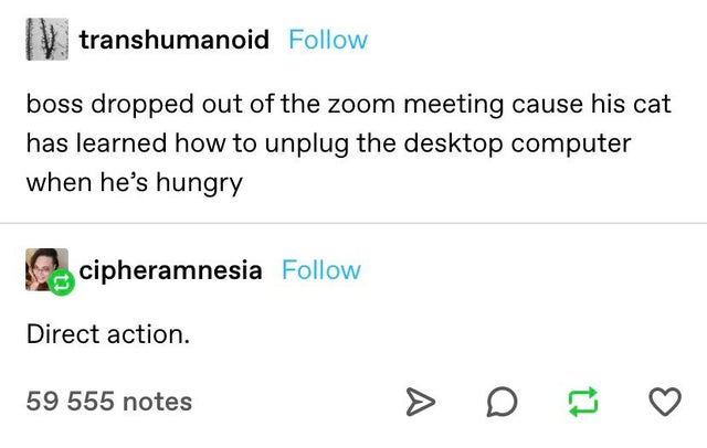 blame on earth tumblr meme - transhumanoid boss dropped out of the zoom meeting cause his cat has learned how to unplug the desktop computer when he's hungry cipheramnesia Direct action. 59 555 notes t