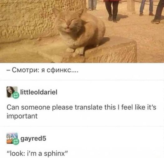 .... littleoldariel Can someone please translate this I feel it's important Gat gayred5 look i'm a sphinx