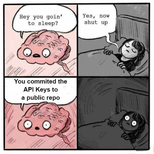 funny brain memes - Hey you goin' to sleep? Yes, now shut up You commited the Api Keys to a public repo