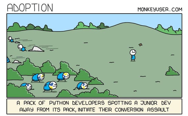 cartoon - Adoption Monkeyuser.Com } A Pack Of Python Developers Spotting A Junior Dev Away From Its Pack, Initiate Their Conversion Assault