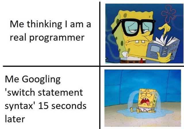 memes about programming - Me thinking I am a real programmer on Fiel Me Googling 'switch statement syntax' 15 seconds later