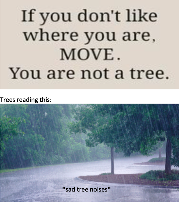 if you were on fire - If you don't where you are, Move. You are not a tree. Trees reading this sad tree noises