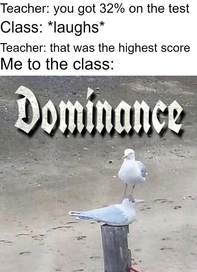 Clown - Teacher you got 32% on the test Class laughs Teacher that was the highest score Me to the class Dominance