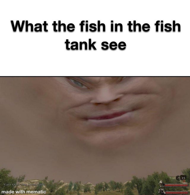 photo caption - What the fish in the fish tank see 13 Can't Qui made with mematic