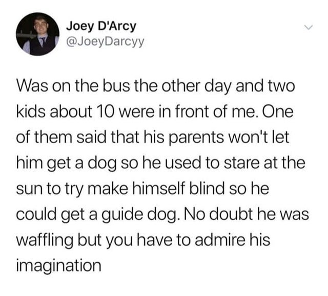 rittenhouse lawyer tweet - Joey D'Arcy Was on the bus the other day and two kids about 10 were in front of me. One of them said that his parents won't let him get a dog so he used to stare at the sun to try make himself blind so he could get a guide dog. 
