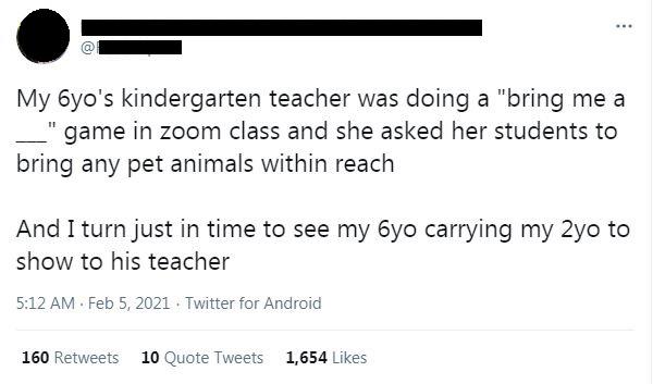 bucky and plums - My Gyo's kindergarten teacher was doing a "bring me a game in zoom class and she asked her students to bring any pet animals within reach And I turn just in time to see my 6yo carrying my 2yo to show to his teacher . Twitter for Android 
