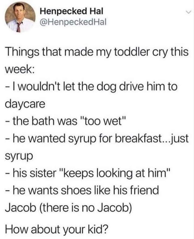 Person - Henpecked Hal Things that made my toddler cry this week I wouldn't let the dog drive him to daycare the bath was "too wet" he wanted syrup for breakfast...just syrup his sister "keeps looking at him" he wants shoes his friend Jacob there is no Ja