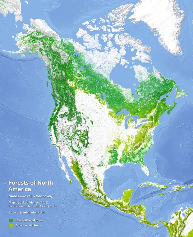 forests of north america - Forests of North America Areas with >15% tree cover Map by Jakub Marian 2018 Land cover data by Esa Cci 2015. Source jakubmarian.com Needleleaved trees Broadleaved trees