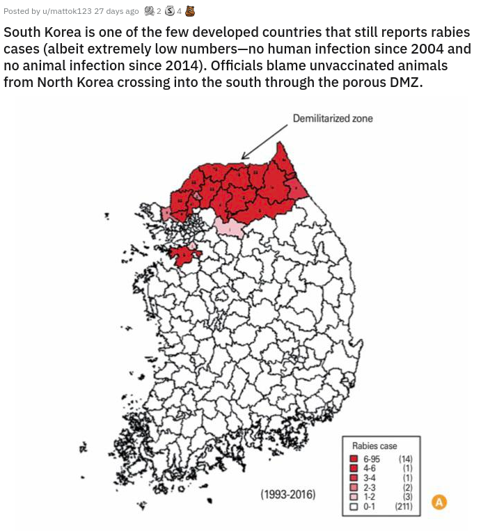 organ - Posted by umattok123 27 days ago 234, South Korea is one of the few developed countries that still reports rabies cases albeit extremely low numbersno human infection since 2004 and no animal infection since 2014. Officials blame unvaccinated anim