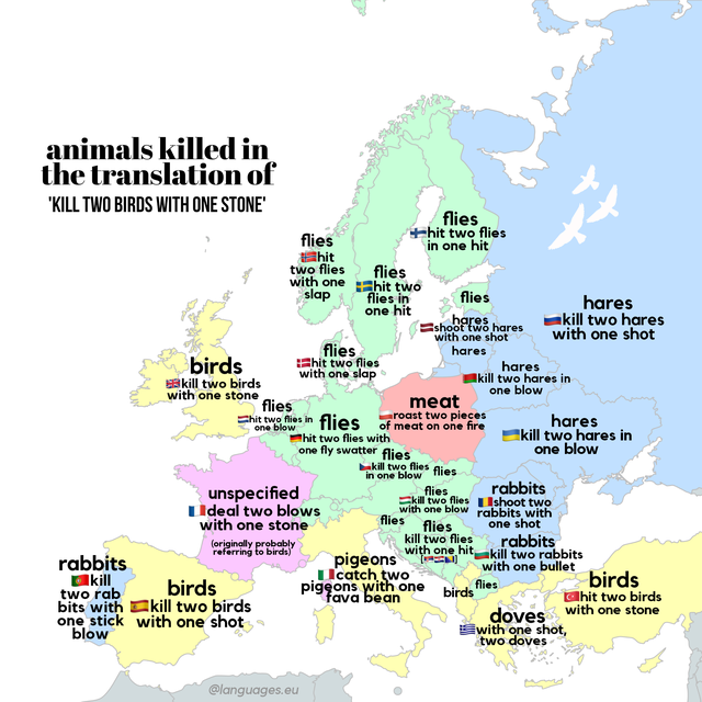 europe - animals killed in the translation of 'Kill Two Birds With One Stone flies flies hit two flies in one hit hit two flies flies with one hit two slap flies in flies hares one hit hares kill two hares shoot two hares with one shot with one shot flies