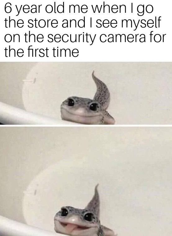 cute lizard smiling - 6 year old me when I go the store and I see myself on the security camera for the first time