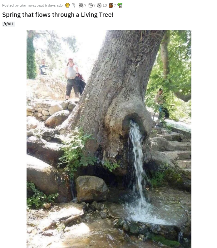 spring that flows from a living tree - Posted by uprmwaypaul 6 days ago 777 $10 Spring that flows through a Living Tree! ItAll