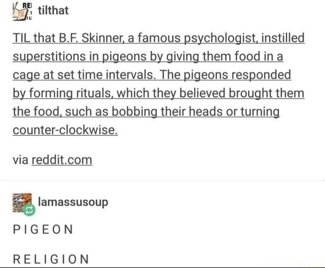 paper - Rei tilthat Til that B.F. Skinner, a famous psychologist, instilled superstitions in pigeons by giving them food in a cage at set time intervals. The pigeons responded by forming rituals, which they believed brought them the food, such as bobbing 