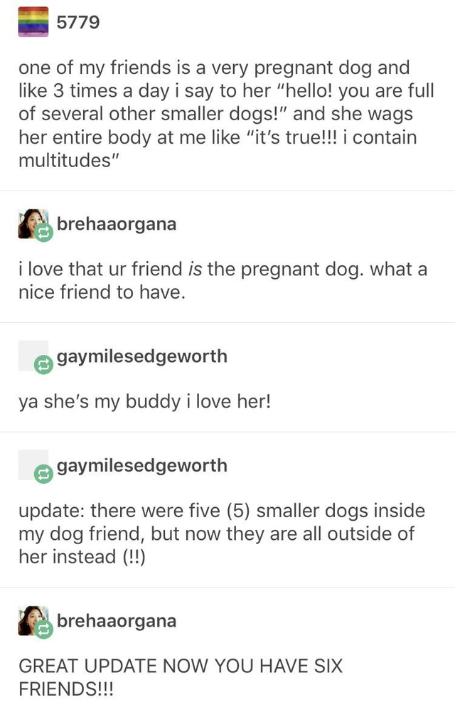 funny tumblr posts pregnancy - 5779 one of my friends is a very pregnant dog and 3 times a day i say to her hello! you are full of several other smaller dogs! and she wags her entire body at me it's true!!! i contain multitudes brehaaorgana i love that ur