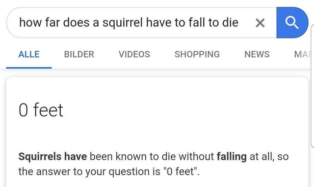 number - how far does a squirrel have to fall to die Alle Bilder Videos Shopping News O feet Squirrels have been known to die without falling at all, so the answer to your question is O feet
