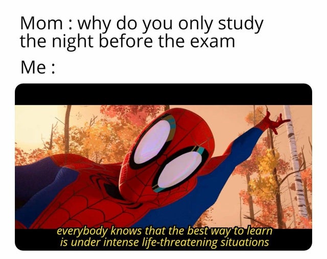 everyone knows the best way to learn meme - Mom why do you only study the night before the exam Me everybody knows that the best way to learn is under intense lifethreatening situations