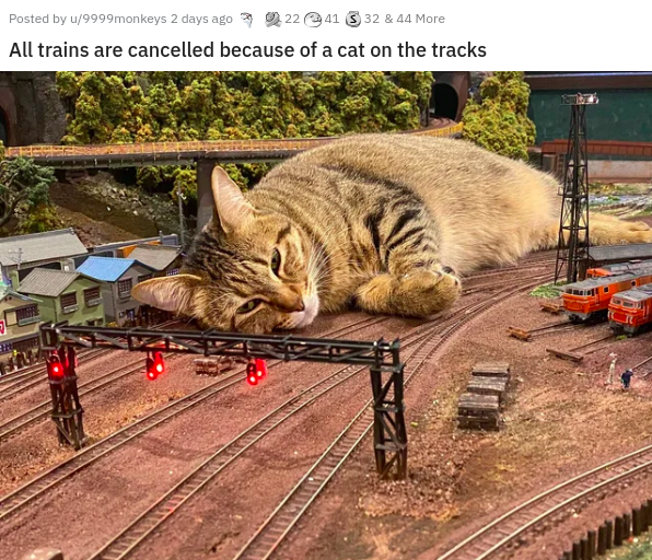 track - Posted by u9999monkeys 2 days ago 22 41 332 & 44 More All trains are cancelled because of a cat on the tracks