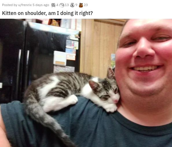 photo caption - 23 Posted by ufrenrix 5 days ago 413 39 Kitten on shoulder, am I doing it right? Remi