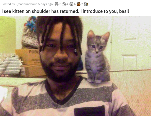 photo caption - Posted by ucoolfunaboud 5 days ago 70434379 i see kitten on shoulder has returned. i introduce to you, basil Publ