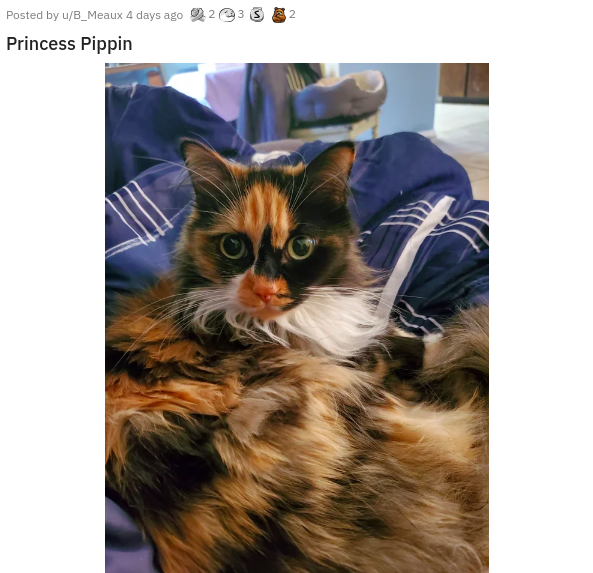 fauna - Posted by S_Meaux 4 days ago 22 Princess Pippin