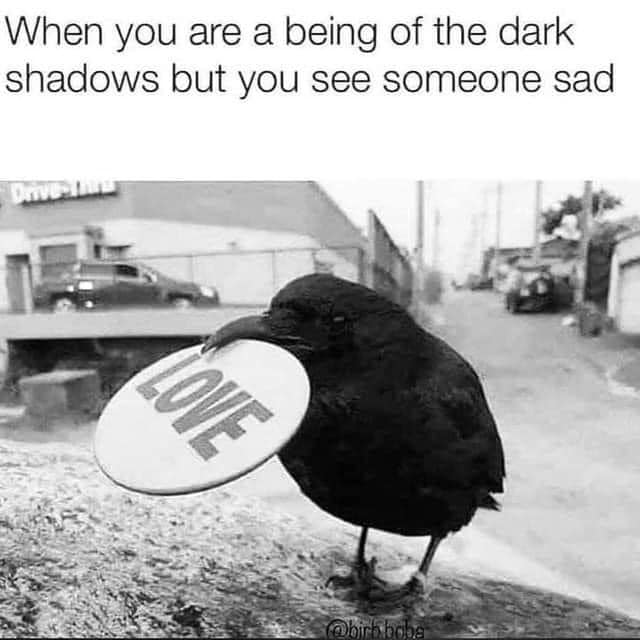 burb meme - When you are a being of the dark shadows but you see someone sad Love bir bebe
