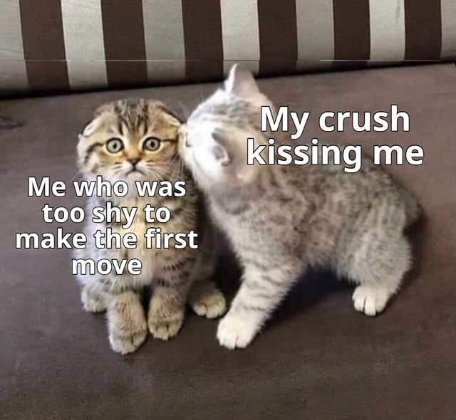 Cat - My crush kissing me Me who was too shy to make the first move
