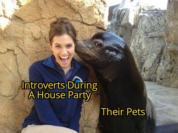 allison williams seal - Introverts During A House Party Their Pets