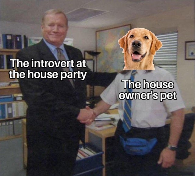 The introvert at the house party The house owner's pet