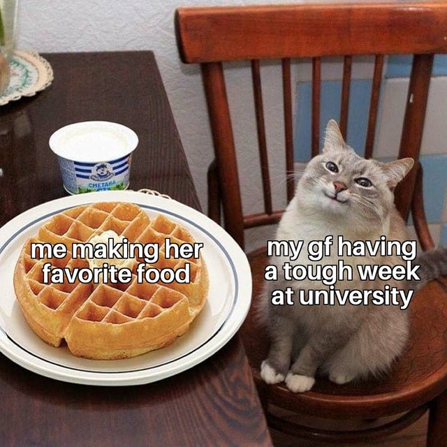 cat with waffle meme template - Chetama me making her favorite food my gf having a tough week at university