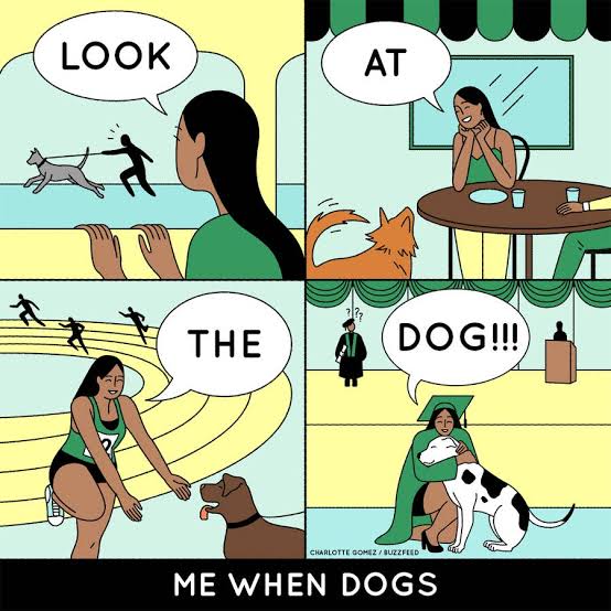 dog lovers memes - Look At The Dog!!! Charlotte Gomez Buzzfeed Me When Dogs