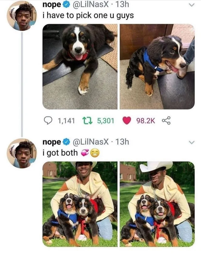 lil nas x puppies - nope . 13h i have to pick one u guys 1,141 2 5,301 nope 13h i got both