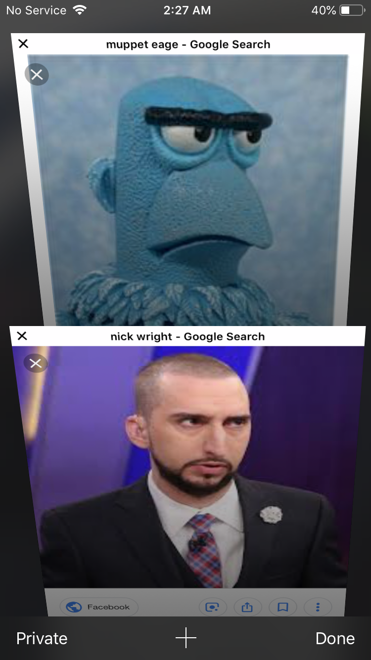 Muppet Nick Wright