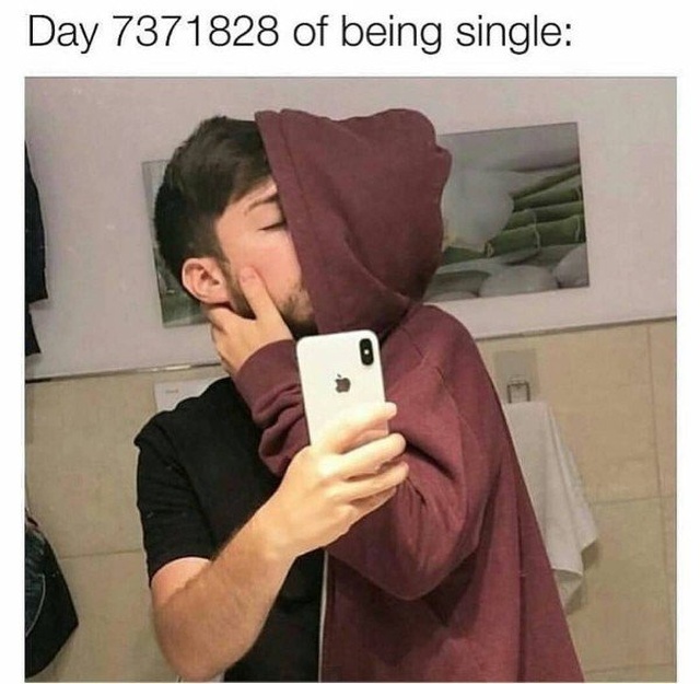 day of being single meme - Day 7371828 of being single