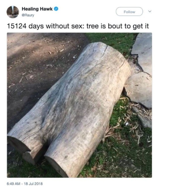 days without sex memes - Healing Hawk Raury 15124 days without sex tree is bout to get it