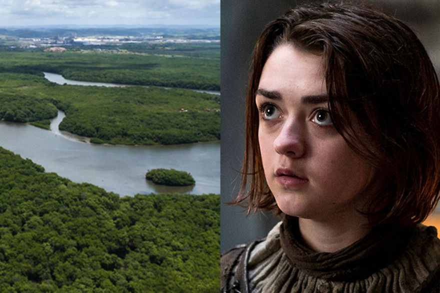 Amazon Rainforest, Brazil ⇾ Arya Stark