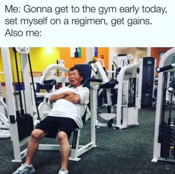 fitness memes funny - Me Gonna get to the gym early today, set myself on a regimen, get gains. Also me