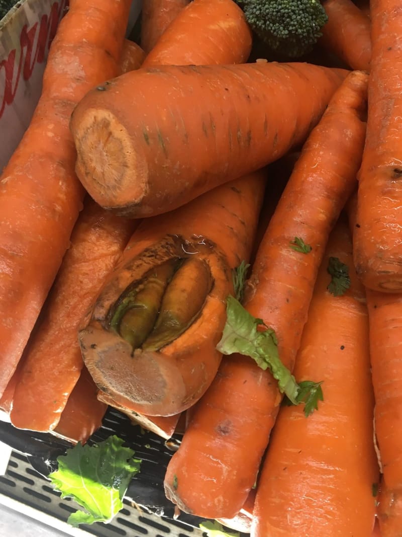 carrot inside a carrot