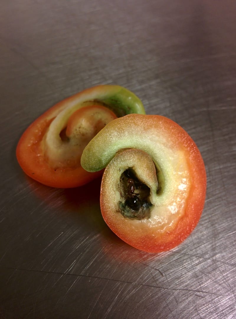 spiral inside bell pepper
