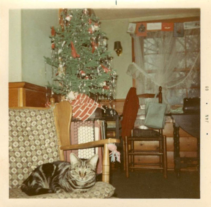 36 Photos Of Christmas Home Decor In The 1950s And 1960s