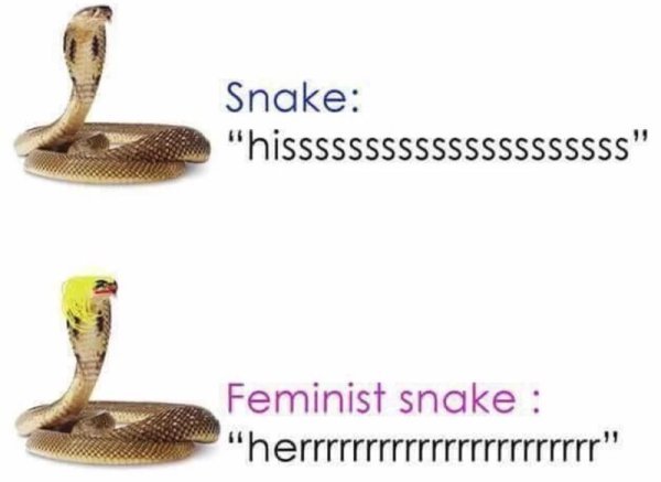 memes - feminist snake meme - Snake
