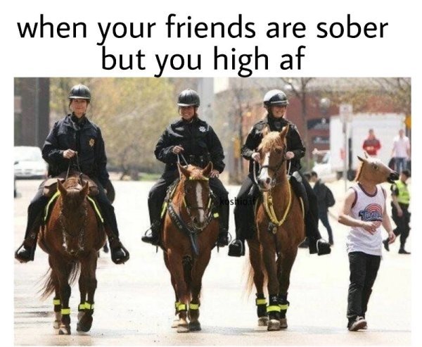 memes - 4 horsemen funny - when your friends are sober but you high af so