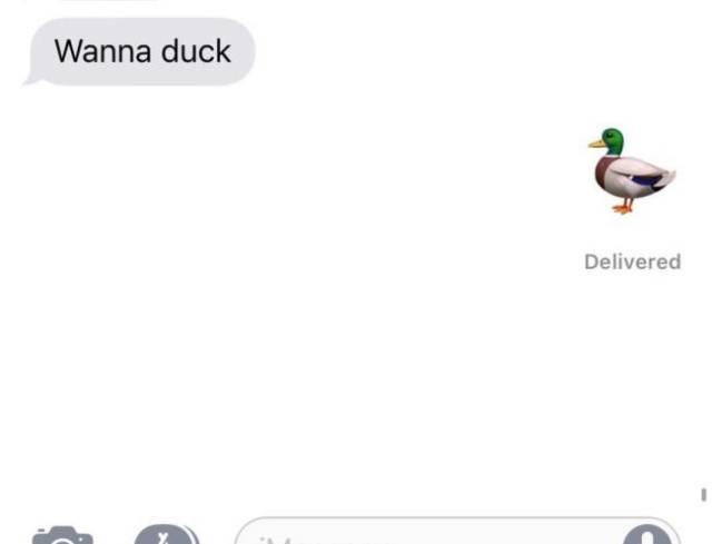 beak - Wanna duck Delivered